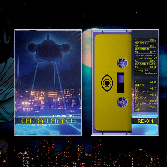 IDENTICUBE - central fiction